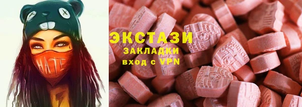 гидра Каменка