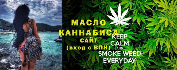 гидра Каменка