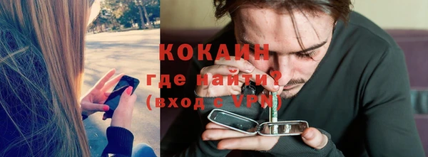 гидра Каменка