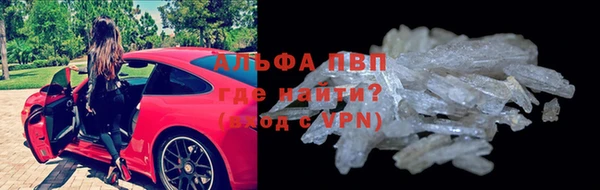 гидра Каменка