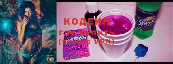 гидра Каменка