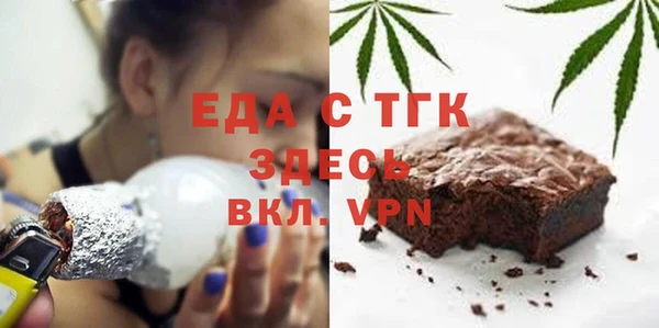 гидра Каменка