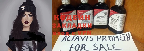 гидра Каменка