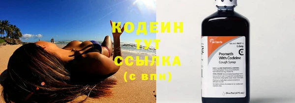 гидра Каменка