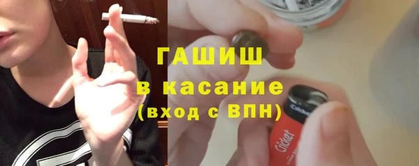 гидра Каменка