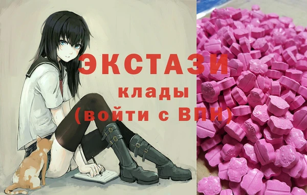 гидра Каменка