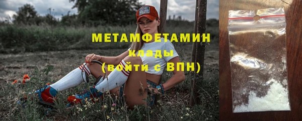 гидра Каменка