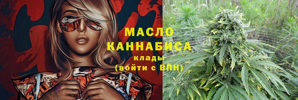 гидра Каменка