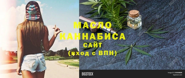 гидра Каменка