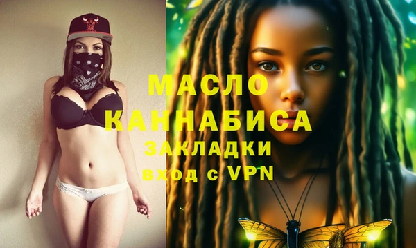 гидра Каменка
