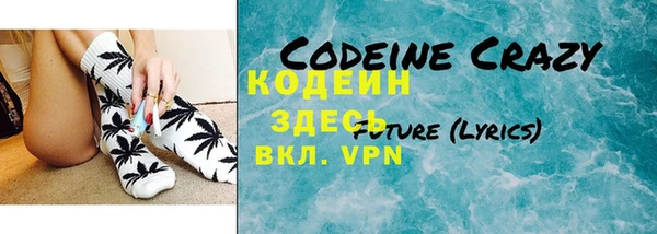 гидра Каменка