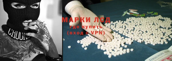 гидра Каменка
