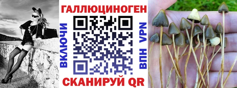 Купить где  Похвистнево  Псилоцибиновые грибы мухоморы 